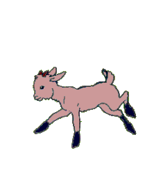 a low-res GIF of a goat kid jumping