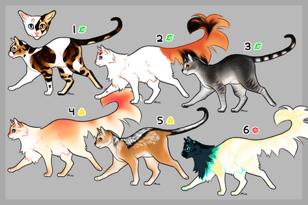 six differently colored cats