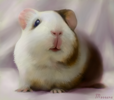 painting of a soft guinea pig on a cloth backdrop