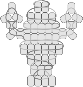 beadwork frog pattern. step 1: body