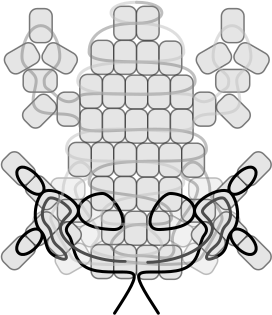 beadwork frog pattern. step 3: feet