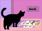 A black cat watching mail come in through a mail slot on a purple background