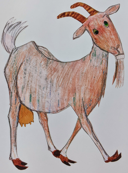 illustrated goat