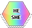 rainbow stamp with text: he she_her hexagonal stamp