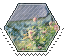 cottagecore_01 hexagonal stamp