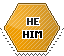 he_him hexagonal stamp