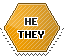 he_they hexagonal stamp