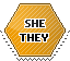 she_they hexagonal stamp