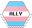 transgender_ally hexagonal stamp