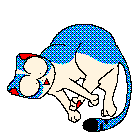 surprised blue and white dithered cat