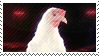 animation of a white chicken rotating on a flashing black background stamp